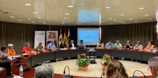 El Cabildo aborda estrategias para reforzar el desarrollo del sector industrial en la isla