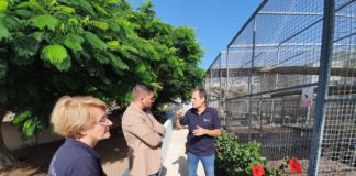 El Cabildo y la Fundación Neotrópico refuerzan su cooperación para la protección de la flora y fauna insular