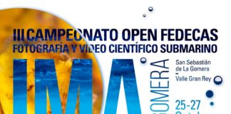 Valle Gran Rey acoge el III Campeonato Open FEDECAS de Imagen Científica Submarina