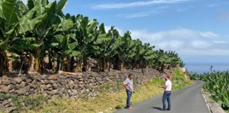 Hermigua continúa mejorando las vías municipales