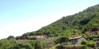 Origen y desarrollo del barrio de Los Aceviños