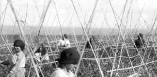 El Cabildo apuesta por la mujer rural en su estrategia de desarrollo insular