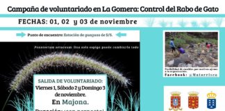 Continúa la Campaña de Voluntariado en La Gomera sobre control del rabo de gato
