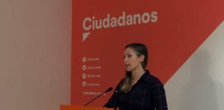 Rodríguez: “Hay que poner en marcha medidas que garantice la conectividad de las islas”