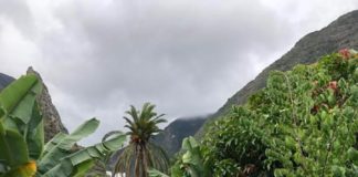 *Nira Fierro Presidenta del Grupo Parlamentario del PSOE en el Parlamento de Canarias visitó este martes La Gomera