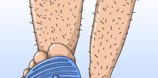 San Sebastián lanza una campaña de concienciación para la recogida de excrementos