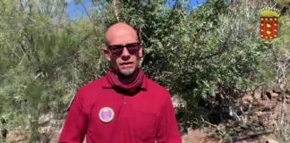 La Gomera inicia este viernes la celebración del Día del Árbol