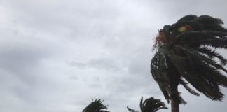 Vientos fuertes en algunas zonas altas de Canarias este domingo