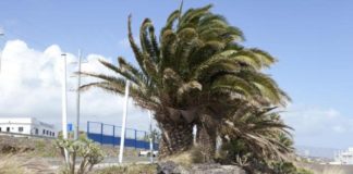 Vientos fuertes en Canarias este miércoles