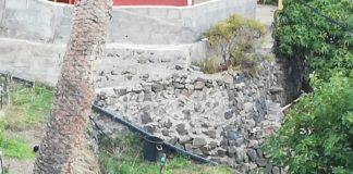 Denuncian que las cabras siguen causando destrozos en Hermigua