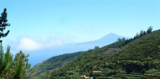 La Palmita celebra el 40 aniversario de la llegada de la Virgen María de Fátima a este barrio de Agulo.