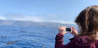 La Gomera elegida por dos veces como premio del Club de Ecoturismo en España