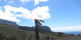 Alejandro García propone la pavimentación de la carretera de Tazo con asfalto