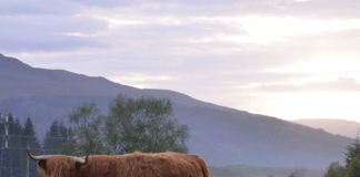 El cambio climático y un turismo sostenible en Escocia