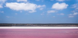 Descubriendo la naturaleza de Australia: el lago rosa
