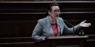 El PSOE propone acuerdos con los Cabildos insulares para garantizar la formación al sector agrícola en las islas no capitalinas