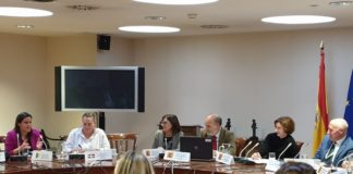 Yaiza Castilla expone en el Consejo Español de Turismo las medidas adoptadas en Canarias para informar a los turistas
