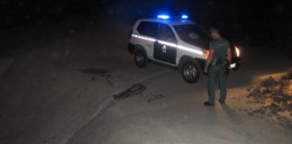 La Guardia Civil investiga a dos personas acusadas de colocar 43 lazos prohibidos para cazar en La Gomera