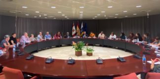 La sesión celebrada en la sede del Cabildo insular cerró con el acuerdo de impulsar sesiones de pintura y mantenimiento físico en los seis municipios de la isla