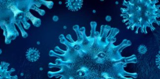 12:34 horas: Canarias constata 148 casos acumulados de coronavirus COVID-19 incluyendo 8 recuperados, en La Gomera, 3