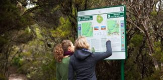 155 candidatos aspiran a obtener el carné de Guía de Turismo de Canarias