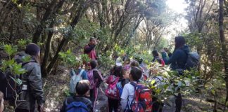 Garajonay: Aula al aire libre