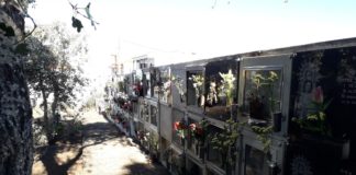 Las flores vuelven a exornar los cementerios de Vallehermoso