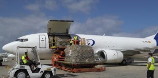 Sanidad recibe un nuevo cargamento con 63.250 test para el diagnóstico de Covid-19 y material sanitario adquirido por el Gobierno de Canarias