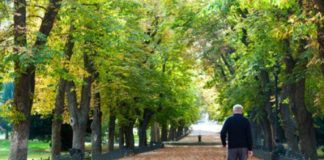 Canarias cumple con los requisitos previos que marca el documento de trabajo del Ministerio para la desescalada