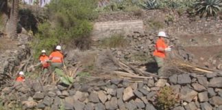 La Gomera lanza una campaña de concienciación ciudadana para la prevención de incendios