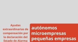 Este miércoles finaliza el plazo para solicitar las ayudas a autónomos y pymes del Cabildo de La Gomera