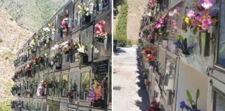 Hermigua coloca flores en los nichos del cementerio con motivo del Día de Las Madres