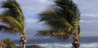 Vientos fuertes y altas temperaturas este martes en Canarias