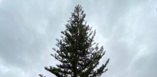 Vallehermoso destina un banco a la tolerancia