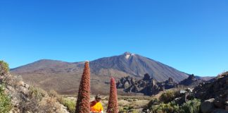 Detectan 300 sismos en El Teide en 140 minutos
