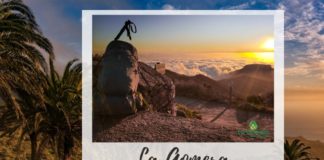 El Cabildo sortea viajes a la isla en una nueva acción promocional en sus principales mercados