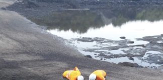 El Cabildo realiza trabajos de limpieza y adecuación en espacios naturales de la isla