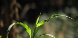 Los mejores cursos en Operaciones de transformación de Polímeros