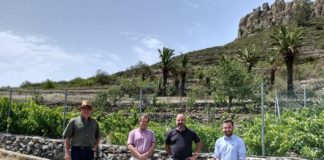 Comienzan las obras de pavimentación de Pavón