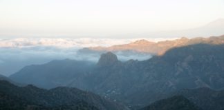 RELATOS: La Isla y la mariposa. Unas reflexiones desde muy lejos