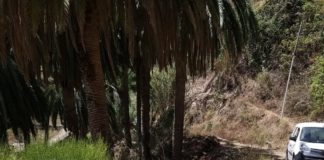 Continúan las mejoras en el barrio de El Ingenio