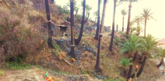 El Cabildo ejecuta un centenar de trabajos para la limpieza y adecuación de pistas, cañadas y barrancos