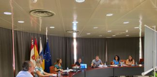 Economía cierra con los cabildos occidentales la ronda para internacionalizar empresas de islas no capitalinas