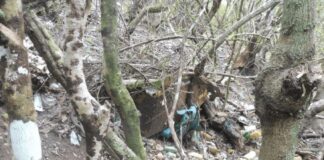 La edil Mariola Plasencia presenta una moción para restaurar el antiguo vertedero de Vallehermoso