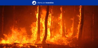 Alerta por Riesgo de Incendios Forestales Gran Canaria, Tenerife, La Palma, La Gomera y El Hierro