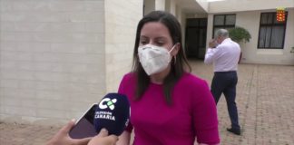 Turismo de Canarias y Cabildo articulan un plan de  dinamización del norte de La Gomera a través de la viticultura y la recuperación de bancales