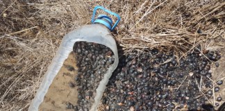 Basura e incivismo en el Parque Nacional de Garajonay