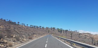 El Ayuntamiento se congratula de la licitación de la obra de la carretera Aeropuerto – Alajeró – Paredes