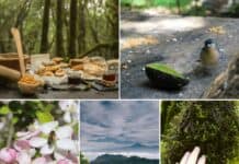 Garajonay, un placer para los cinco sentidos