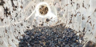 Transición Ecológica alerta del peligro que supone para la fauna el abandono de envases y residuos en la naturaleza